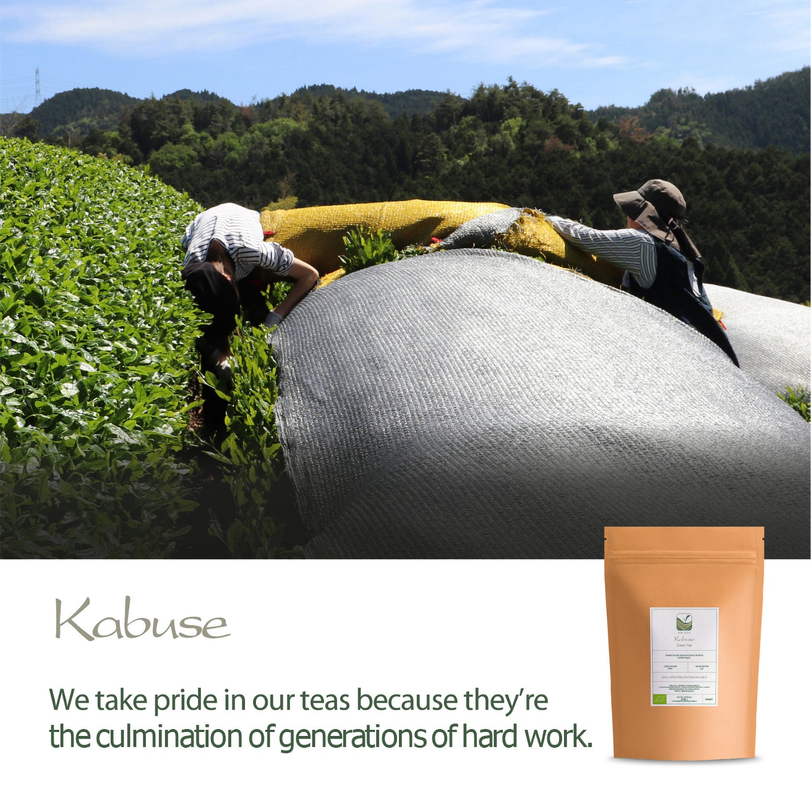 Kabuse 25g
