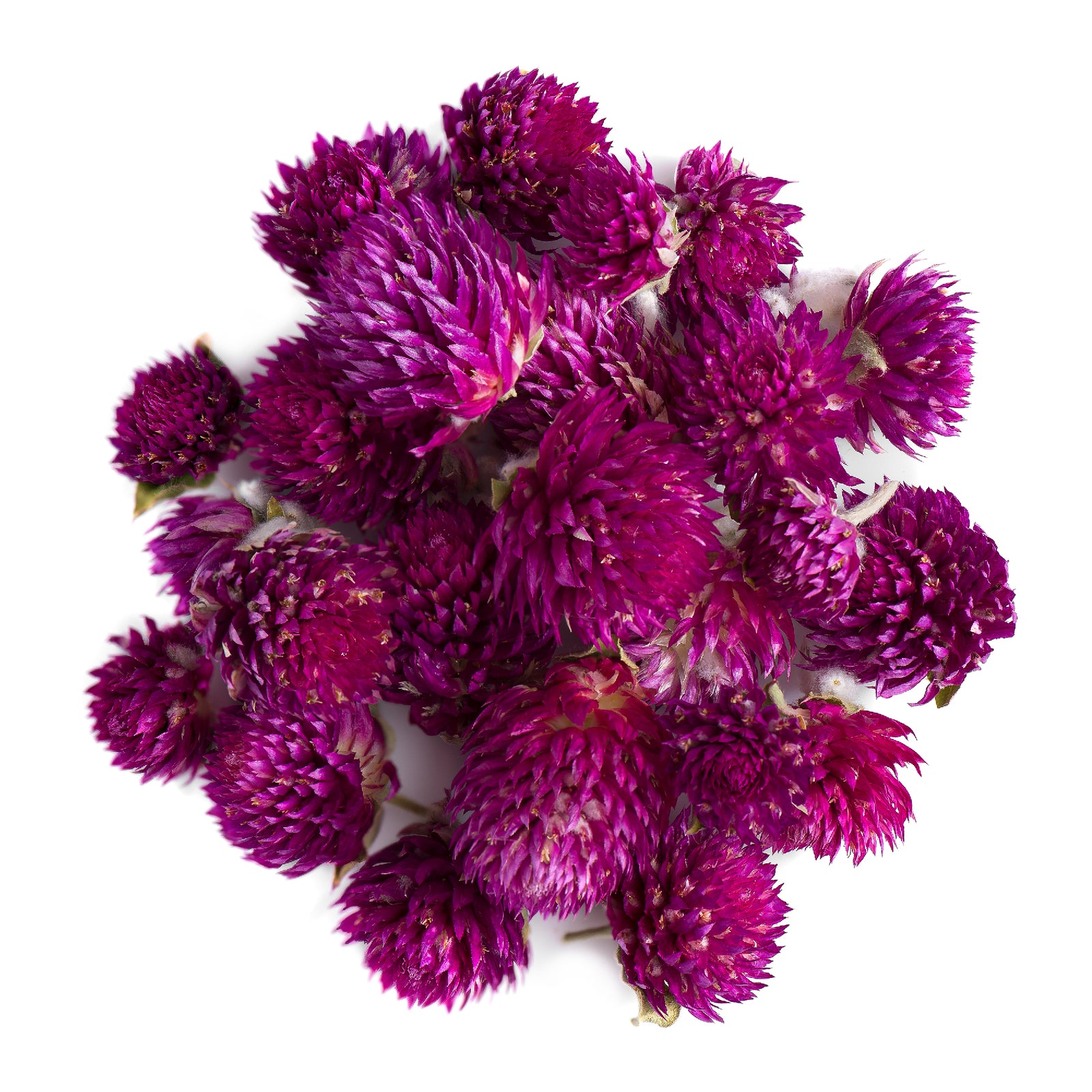 Globe Amaranth Flower 50g