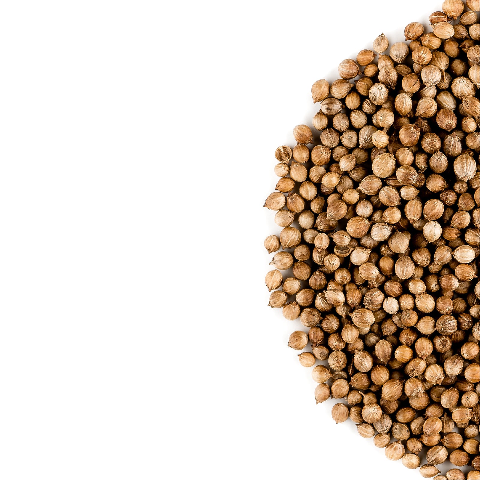 Coriander Seed 200g