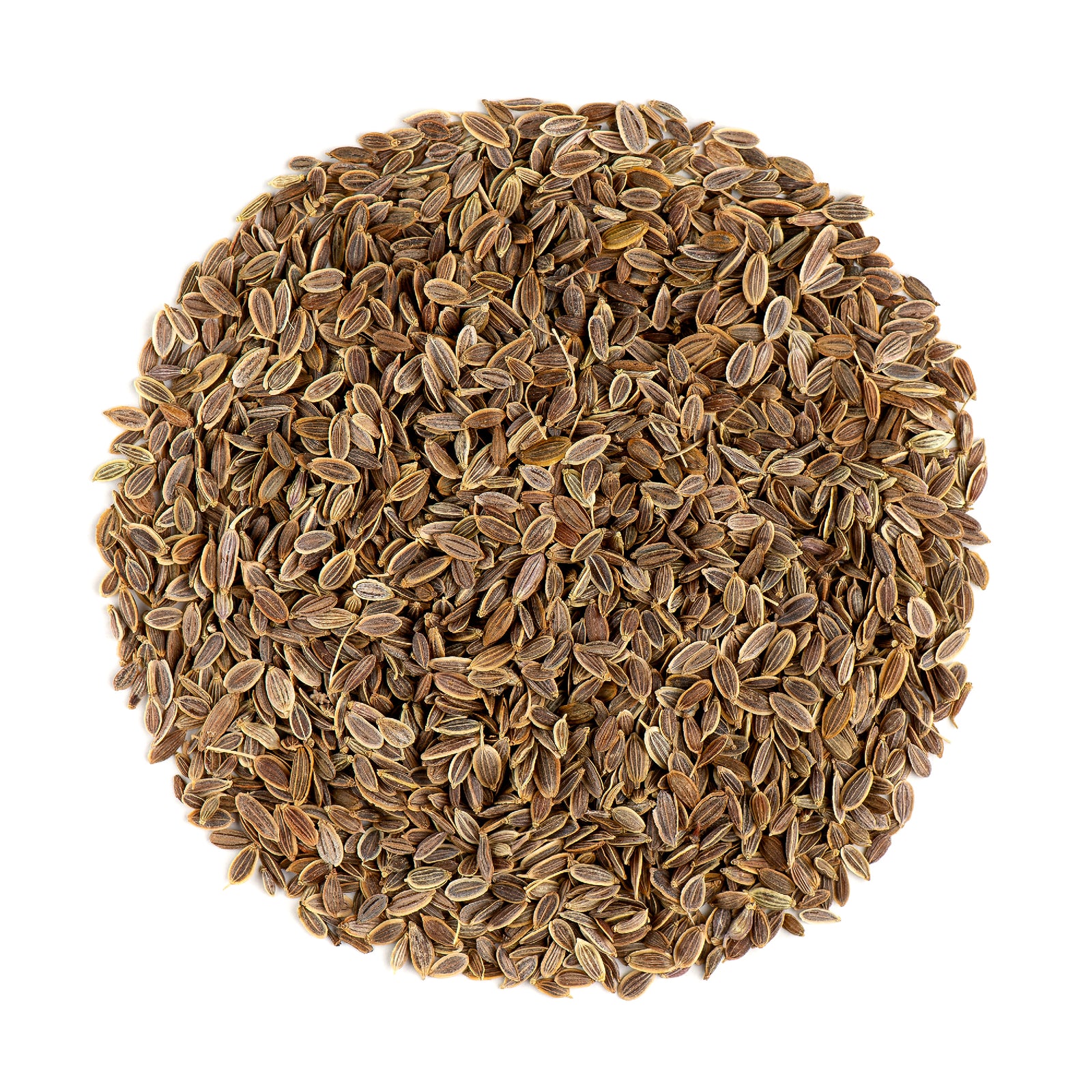 Dill Seed 200g