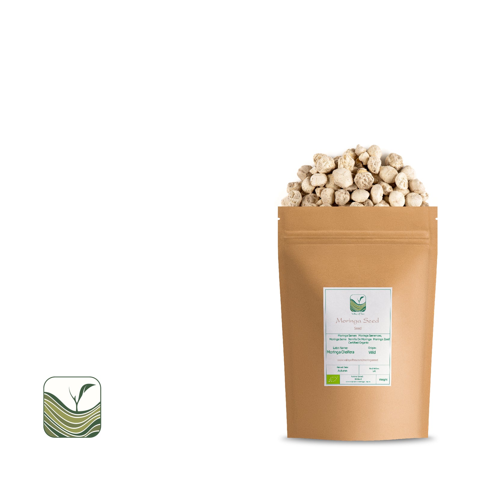 Moringa Seed 50g