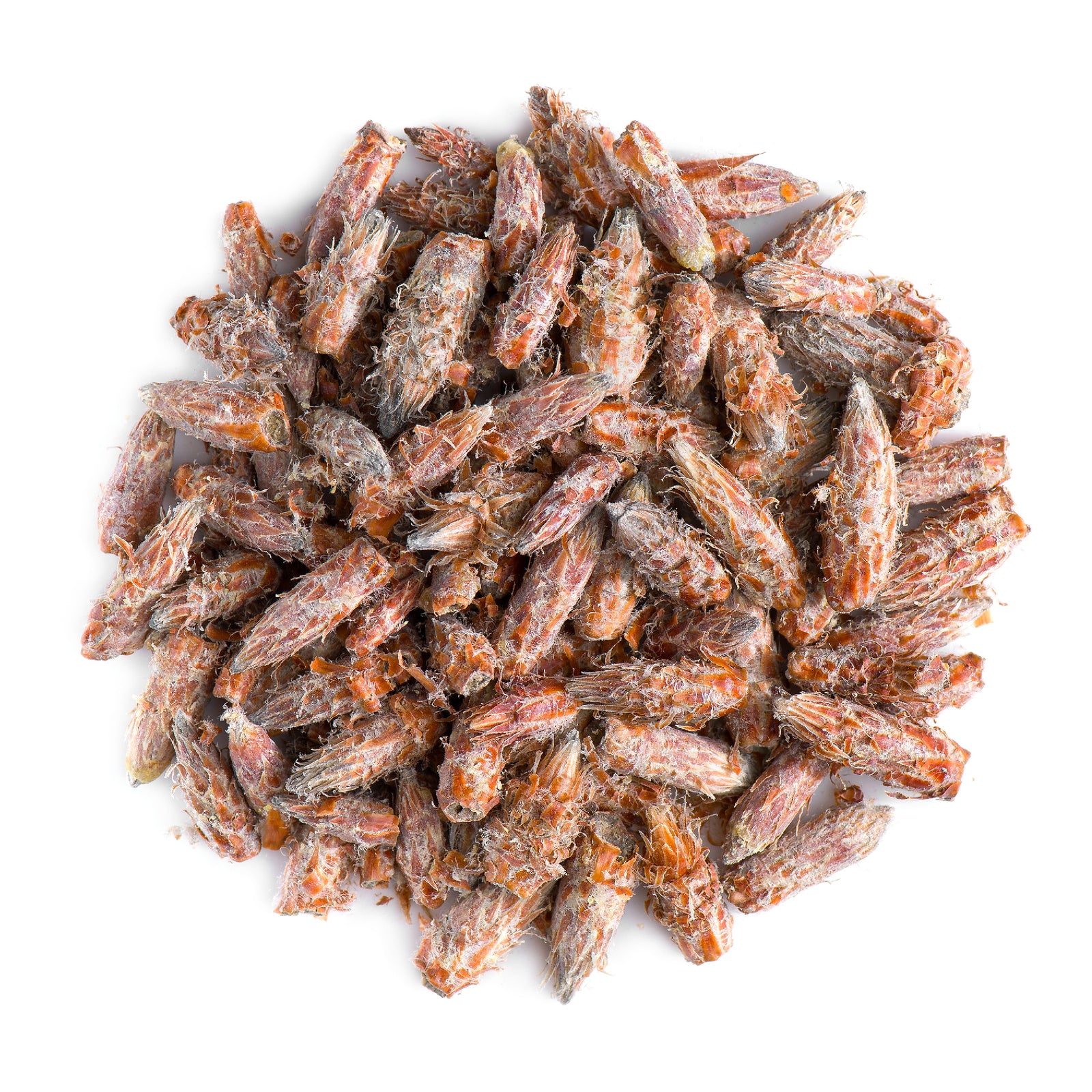 Pine Bud 50g