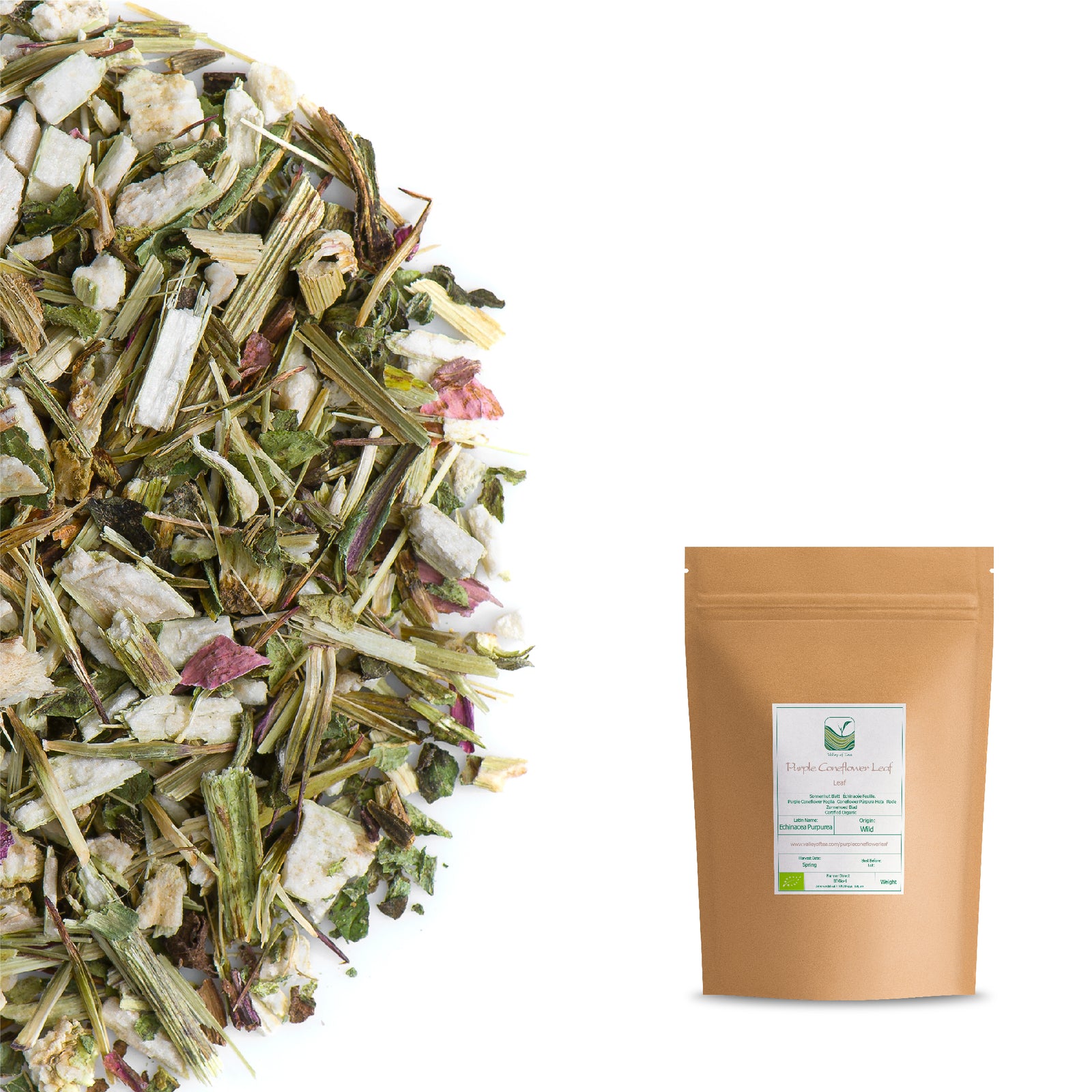 Purple Coneflower Leaf 100g