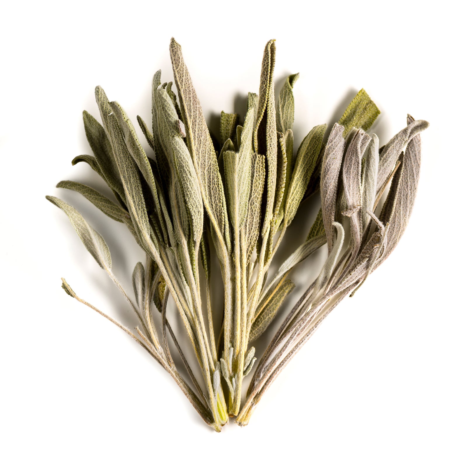 Sage 100g