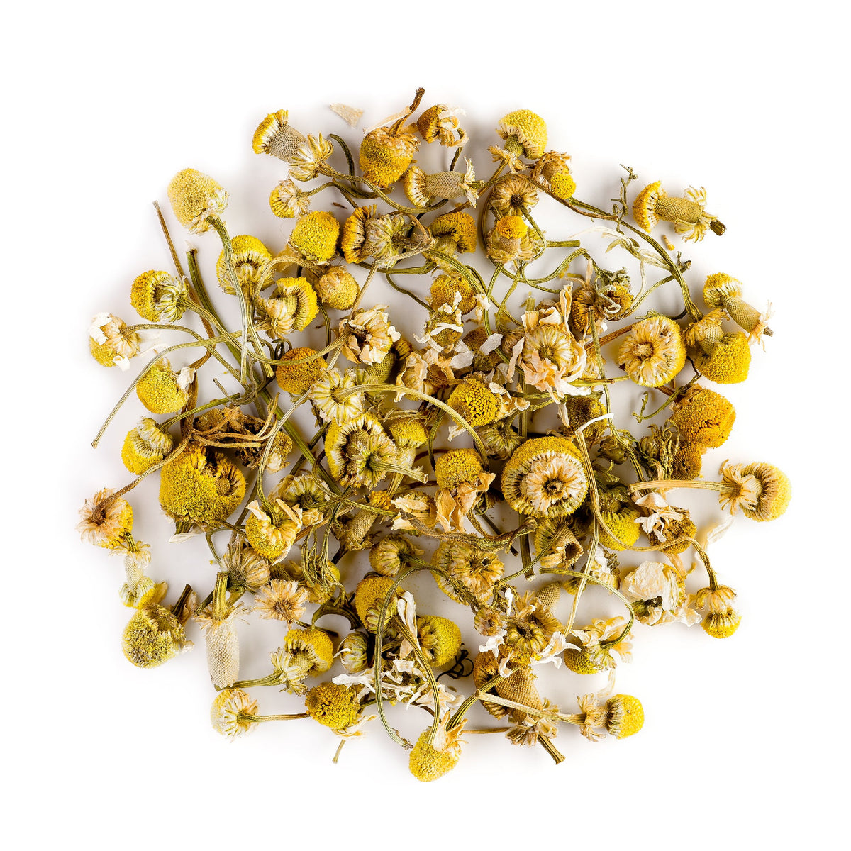 Camomile German