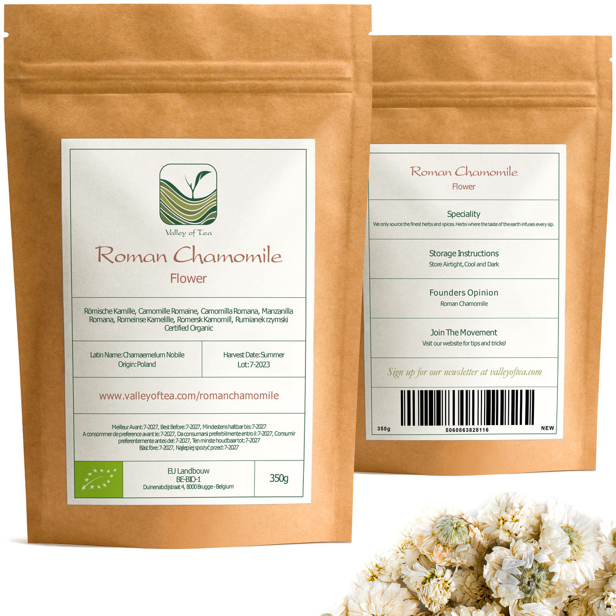 Roman Chamomile
