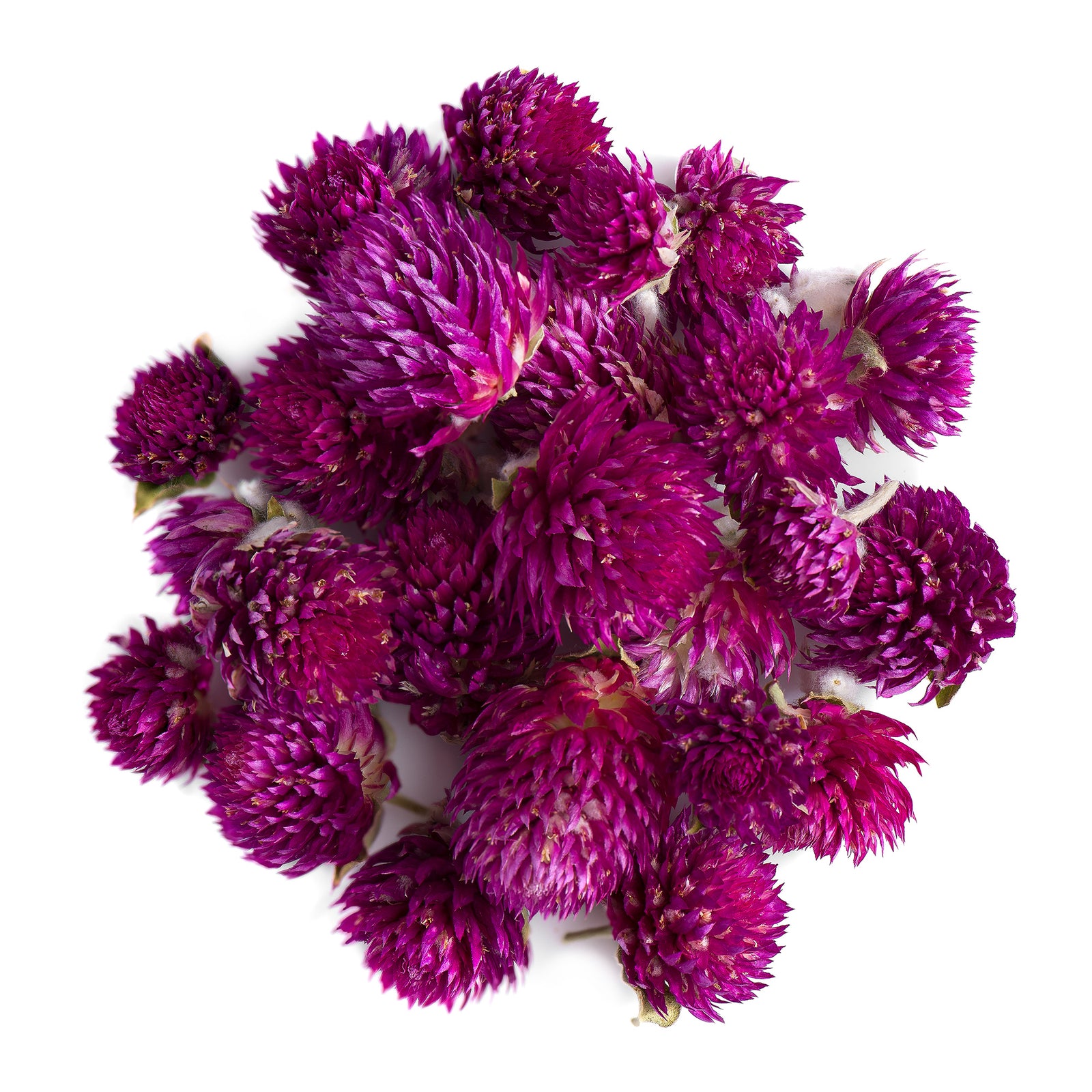 Globe Amaranth Flower 50g
