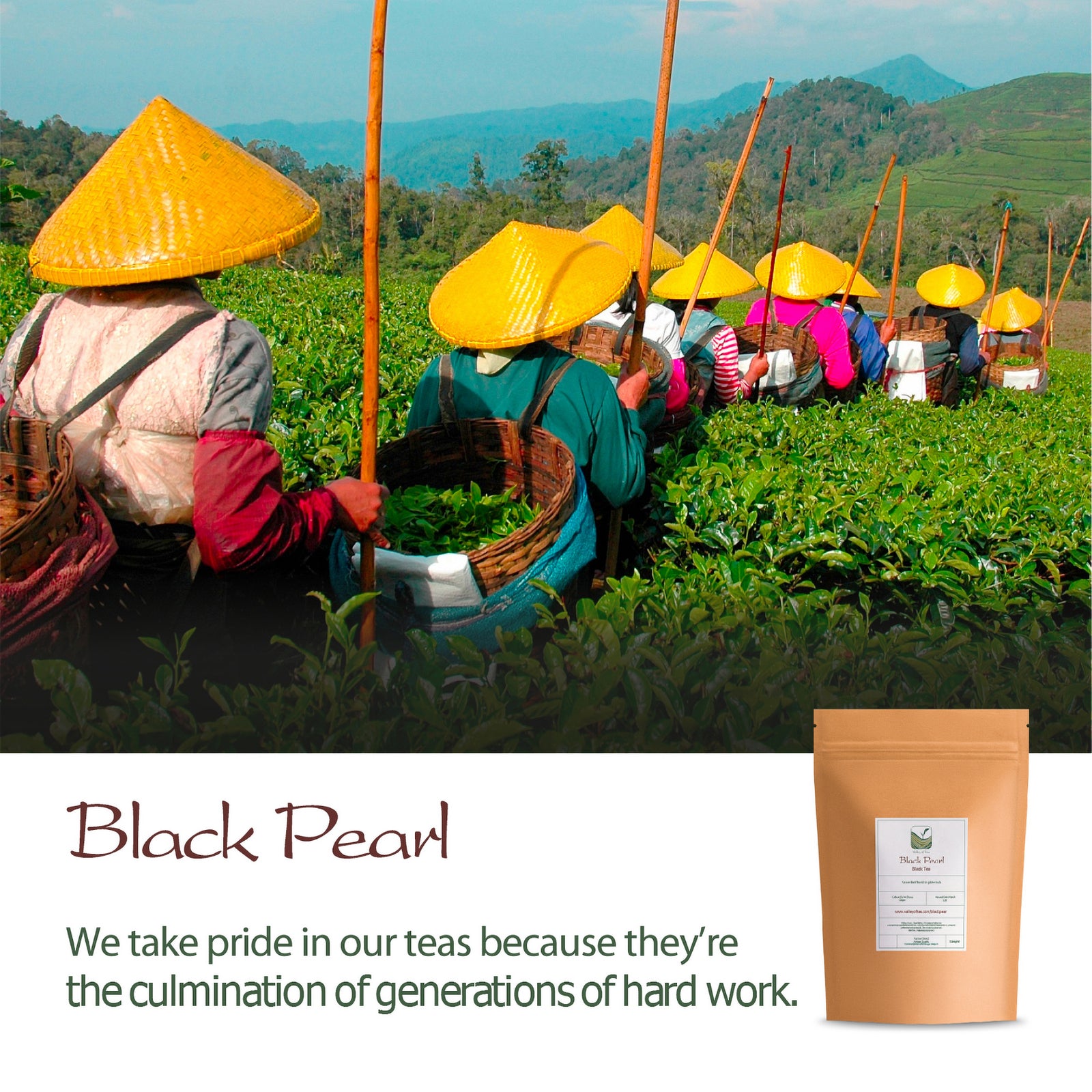 Black Pearl 100g
