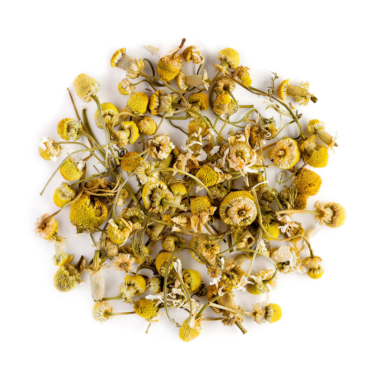 Greek Chamomile