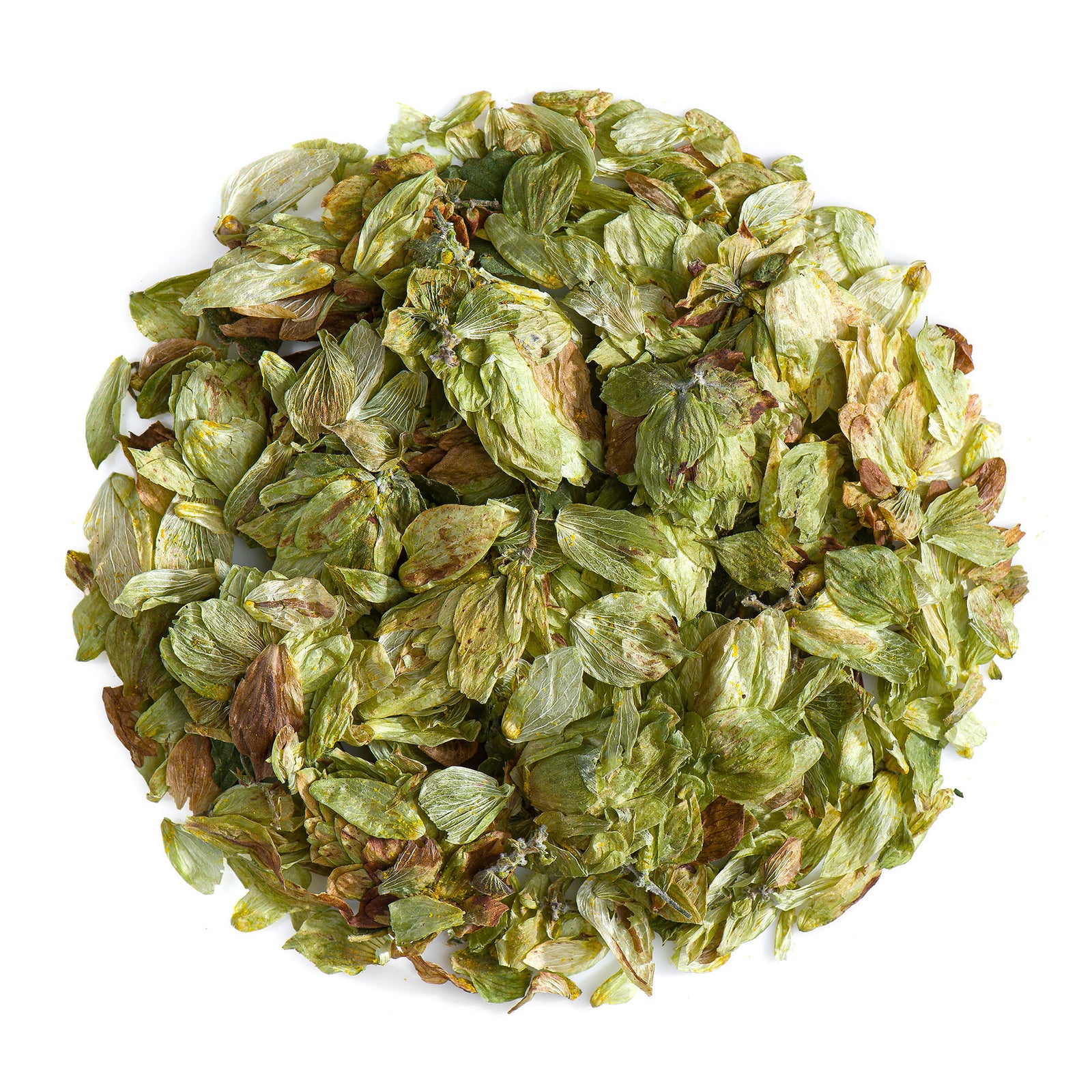 Whole Hop Cone 50g