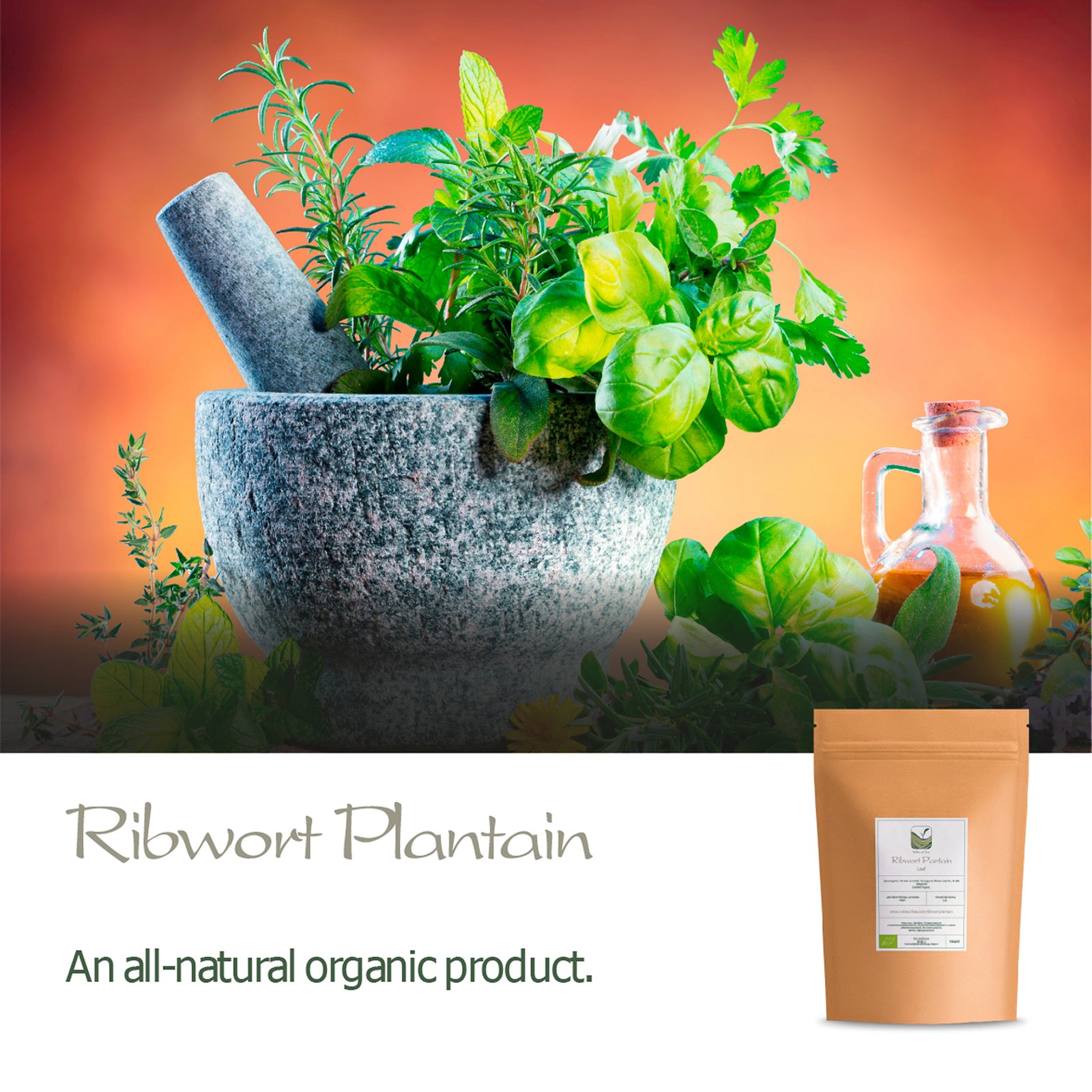 Ribwort Plantain 100g