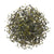 Sencha Organic Green Tea Japan - Artisan Farm - Sen Ca