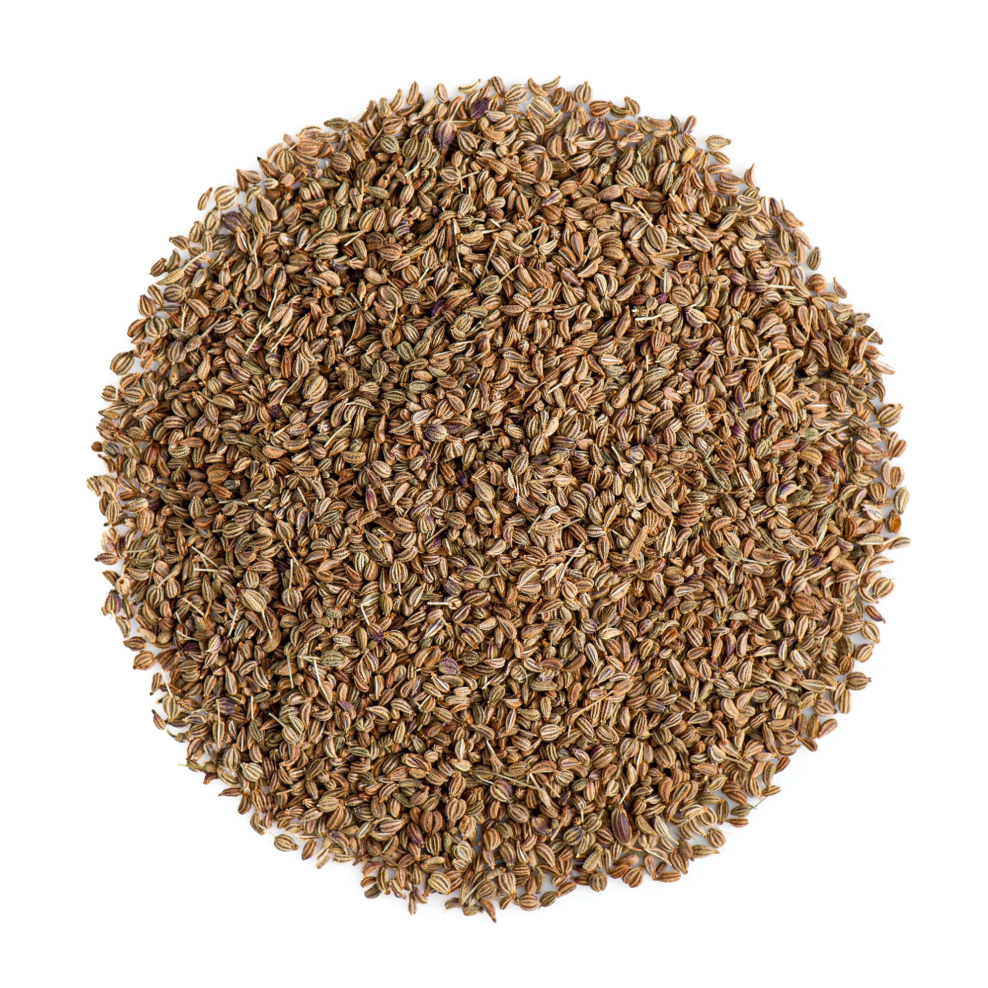 Ajwain Seed