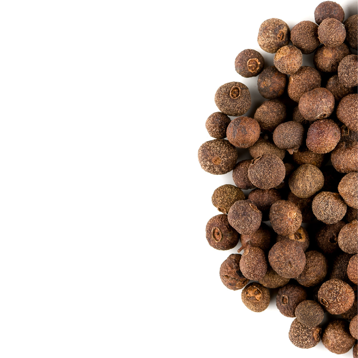 Allspice