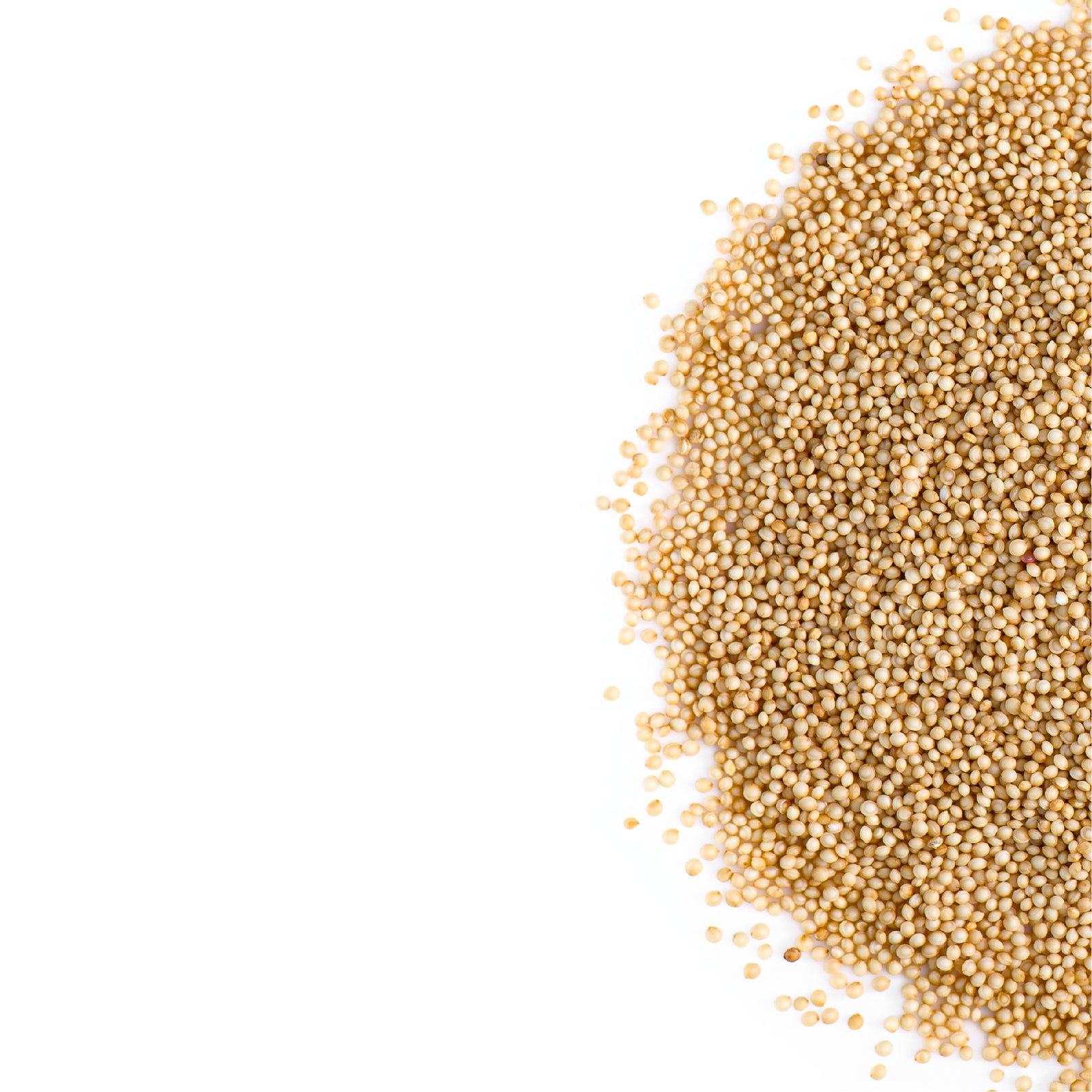Amaranth Seed 500g