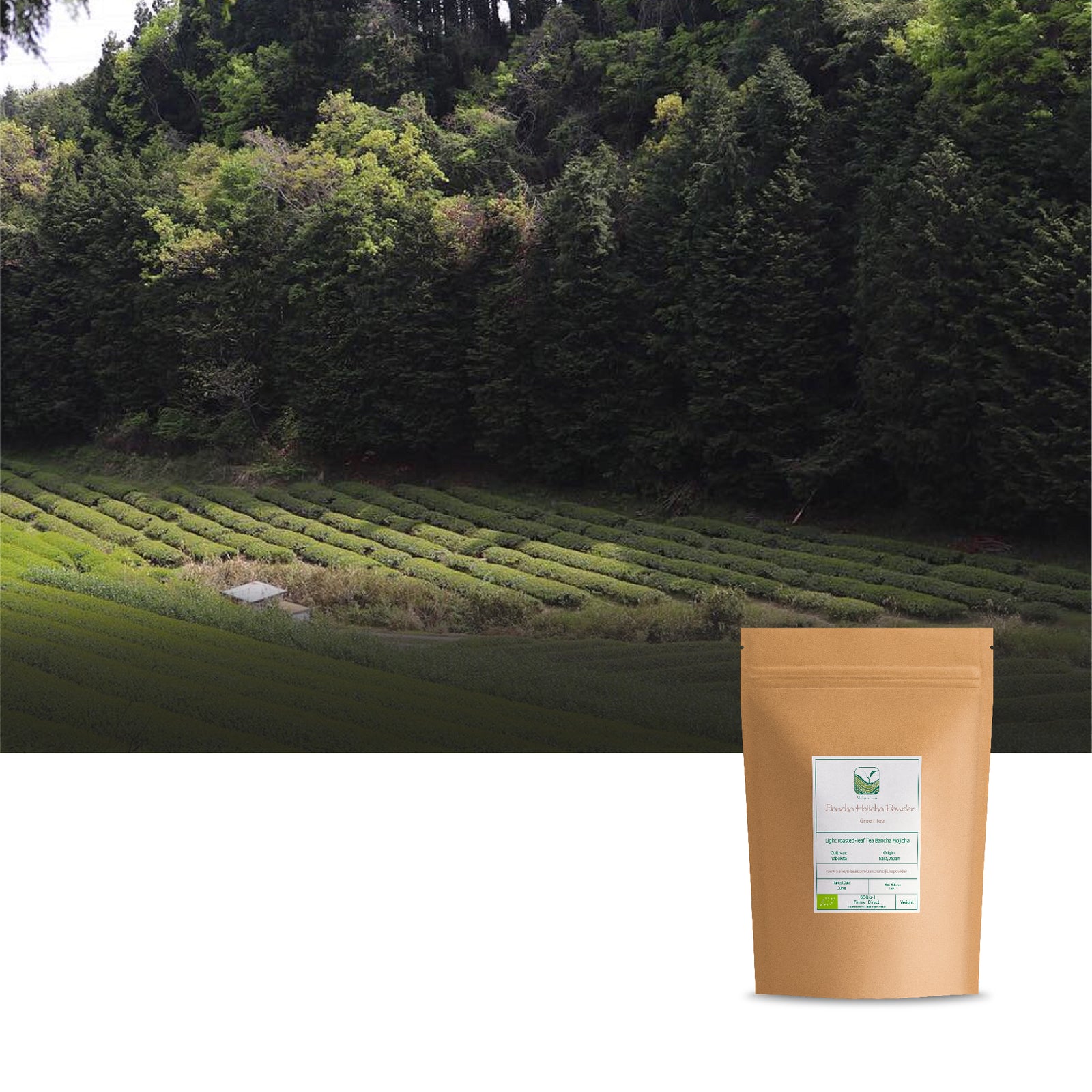 Bancha Hojicha Powder 50g