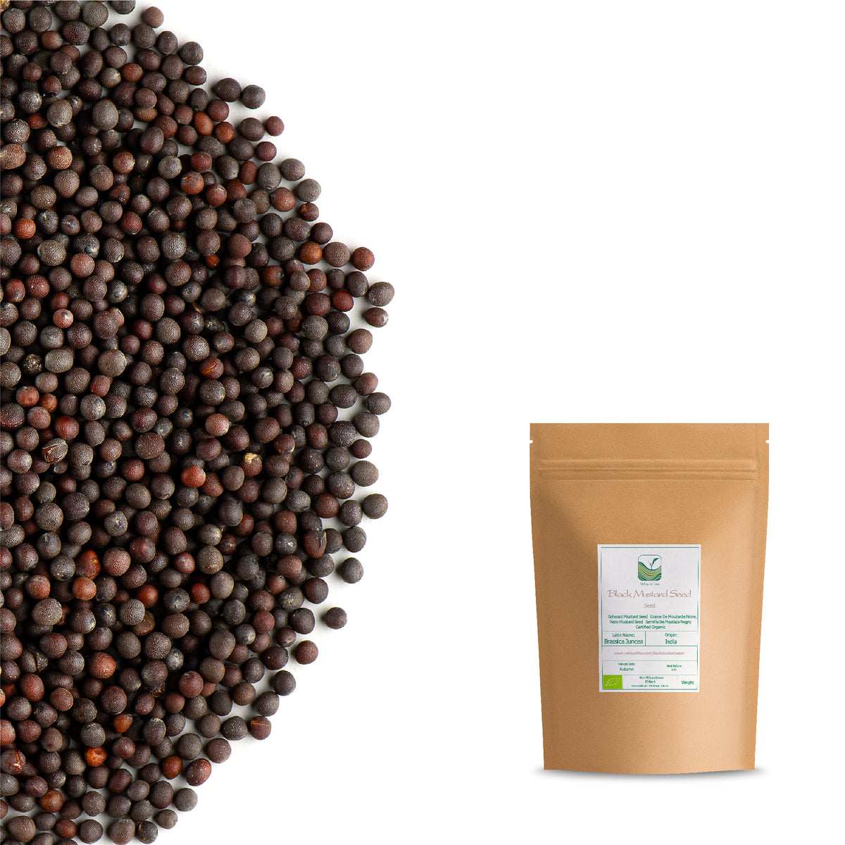 Black Mustard Seed
