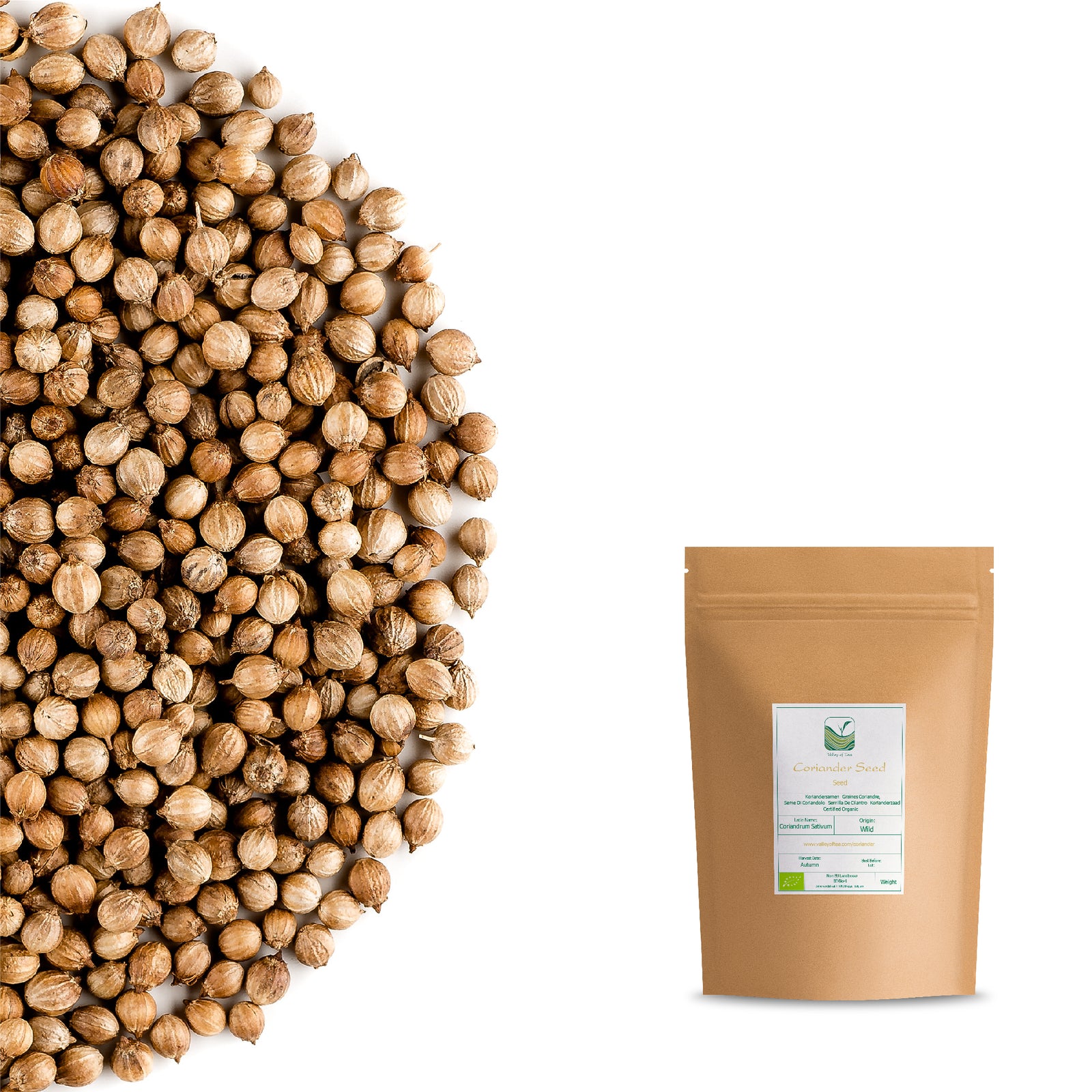 Coriander Seed 200g