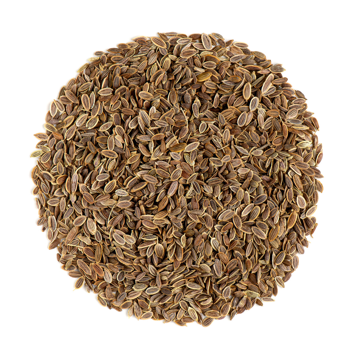 Dill Seed 200g