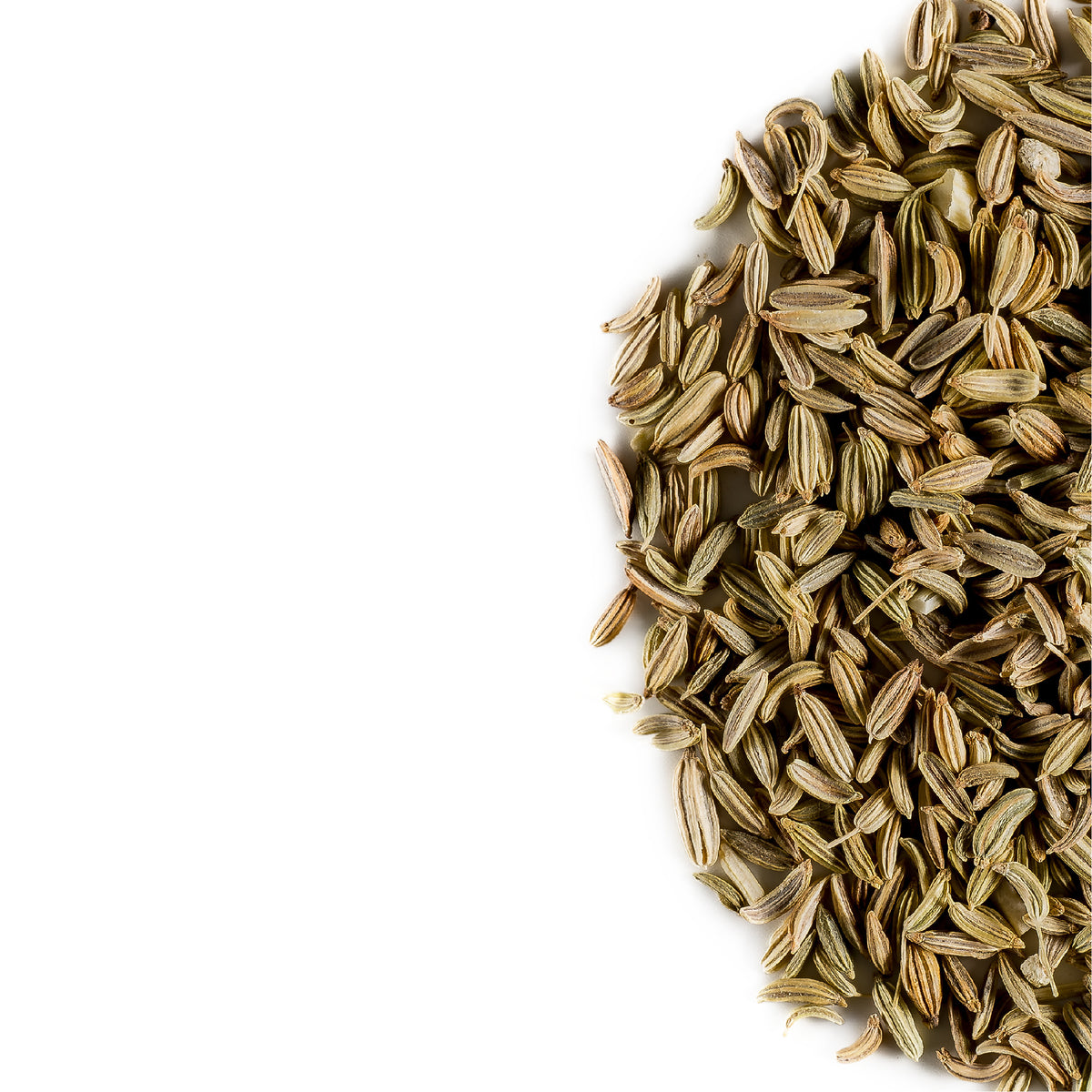 Fennel seed
