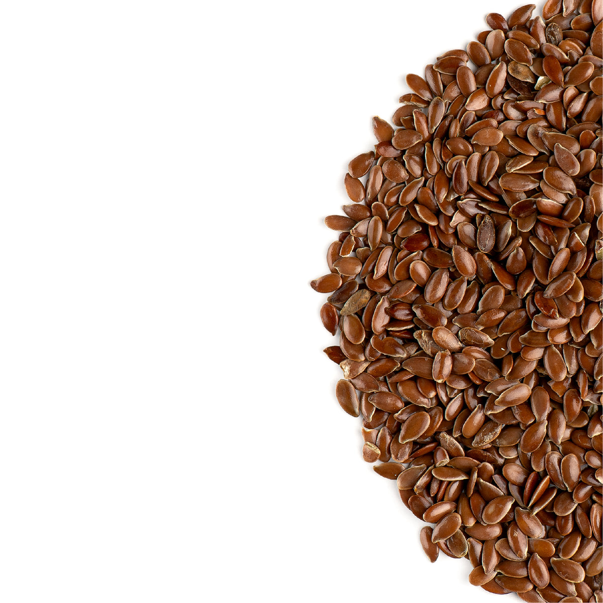 Flax Seed