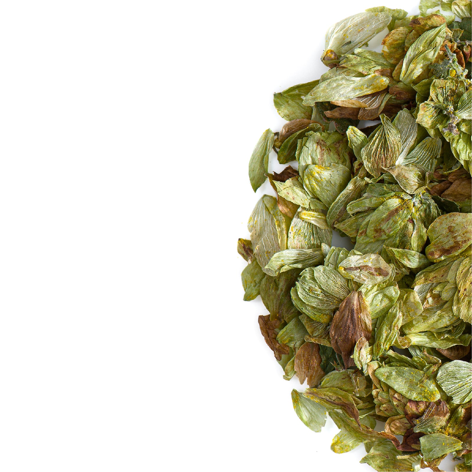 Whole Hop Cone 50g