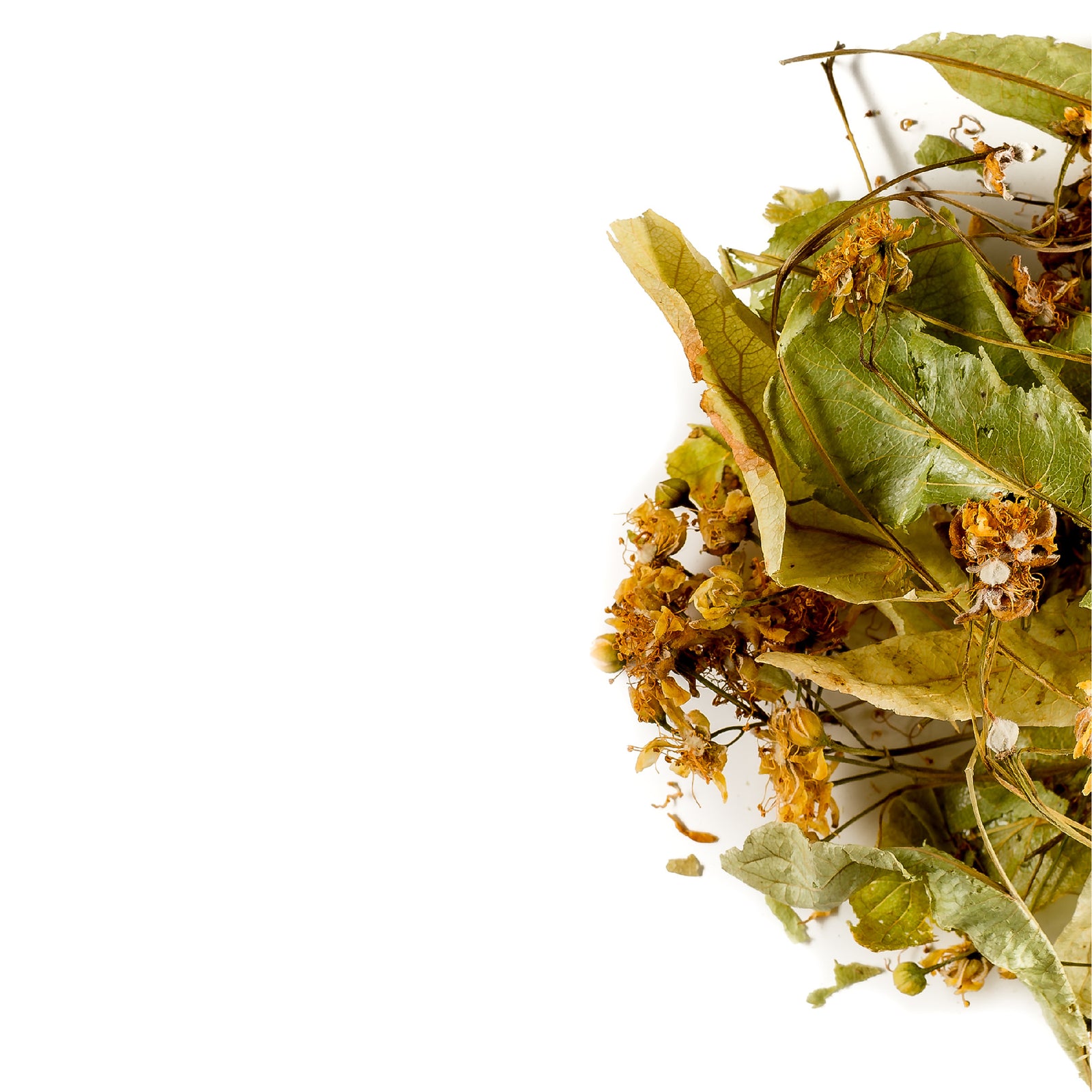 Lime Blossom 100g