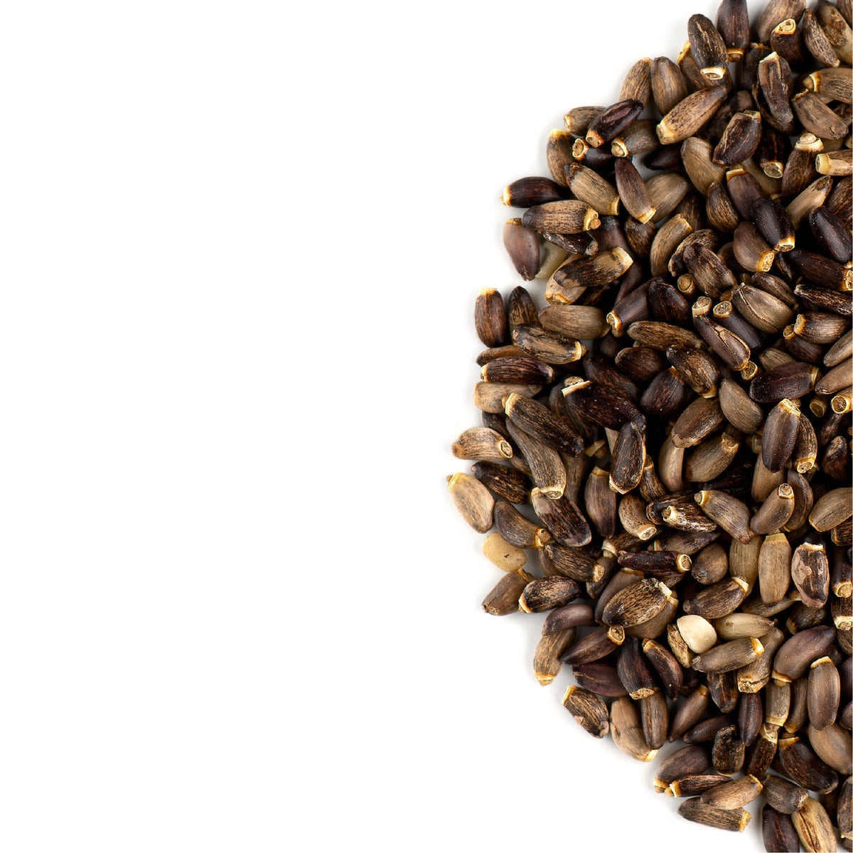 Milk Thistle Seed