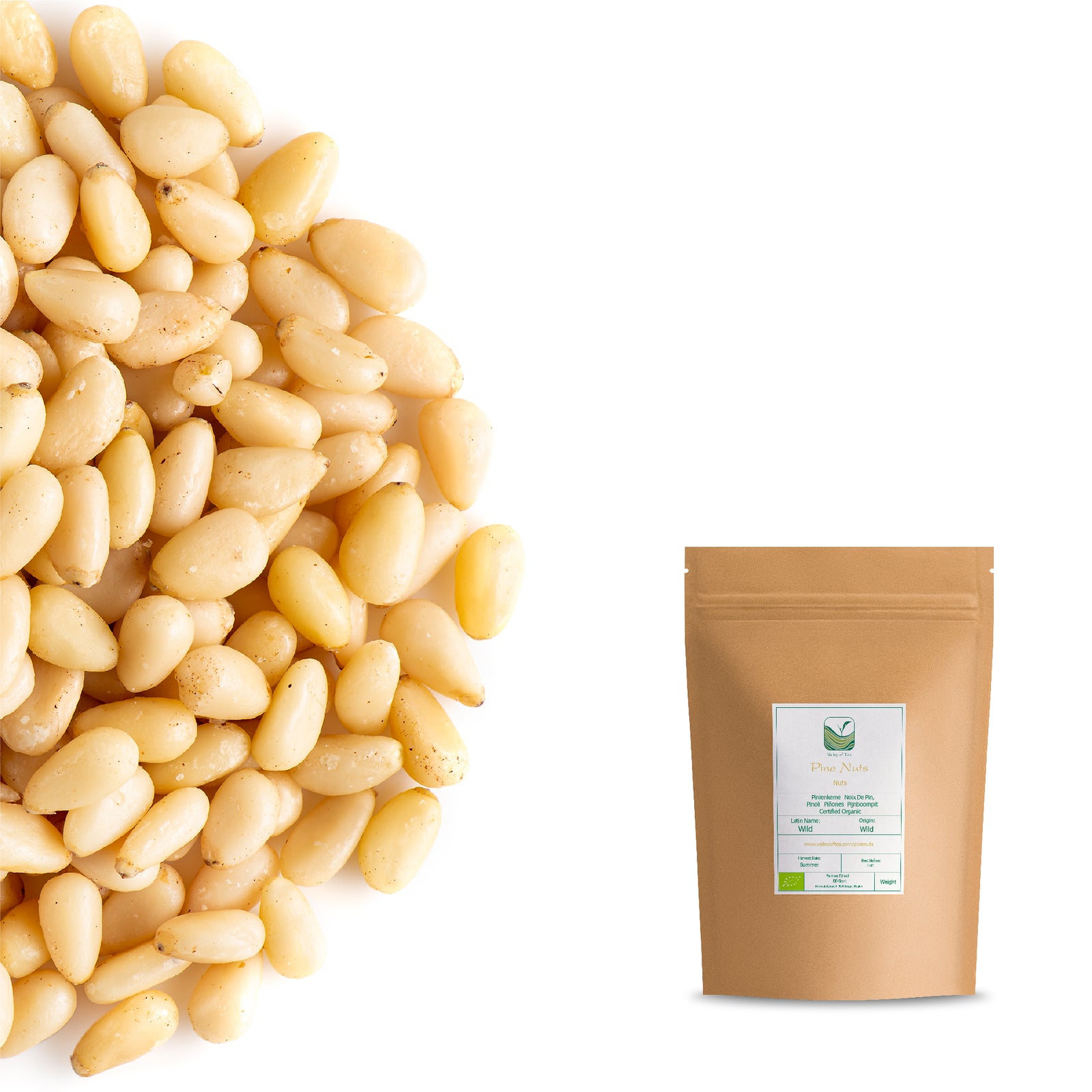 Pine Nuts 100g
