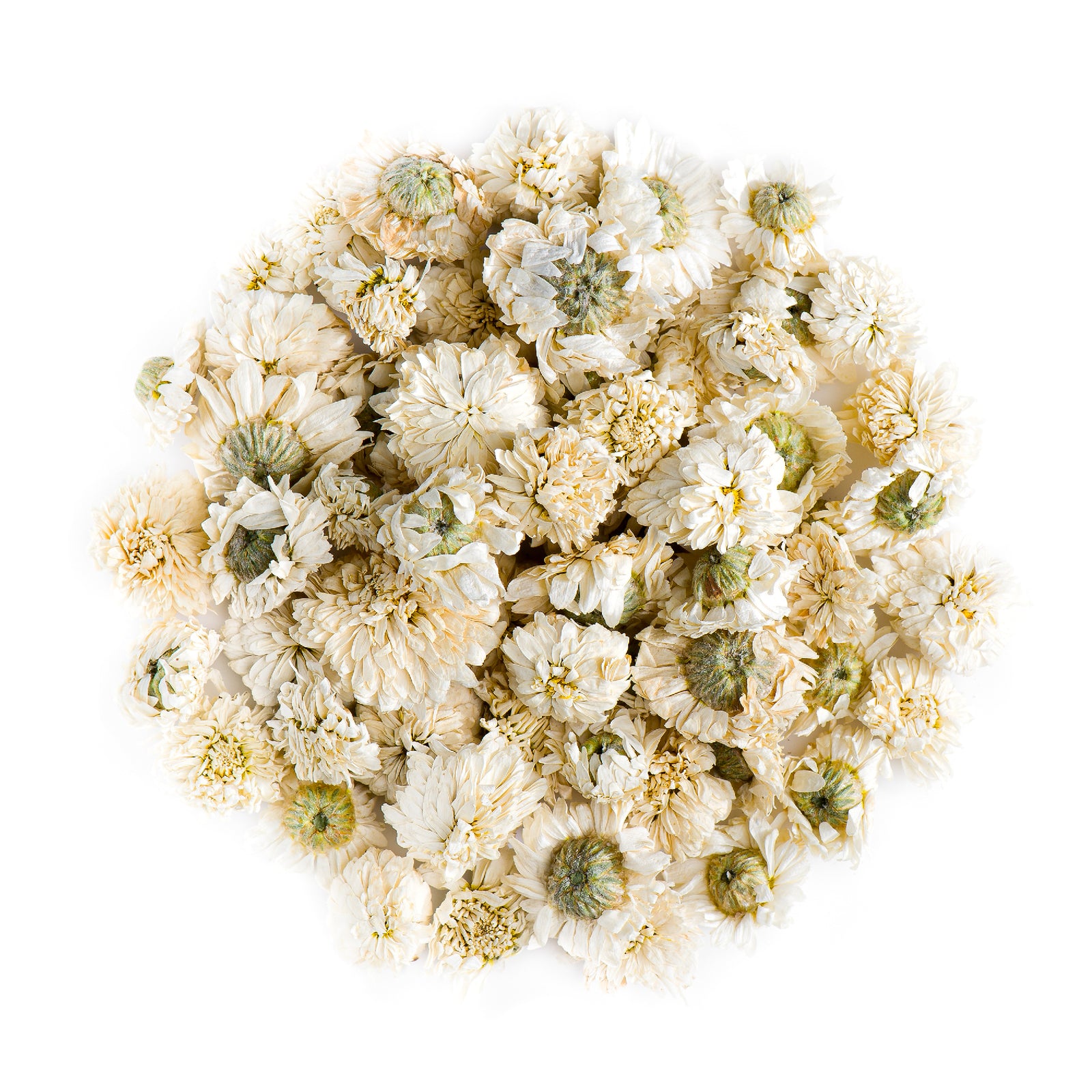 Roman Chamomile 20g