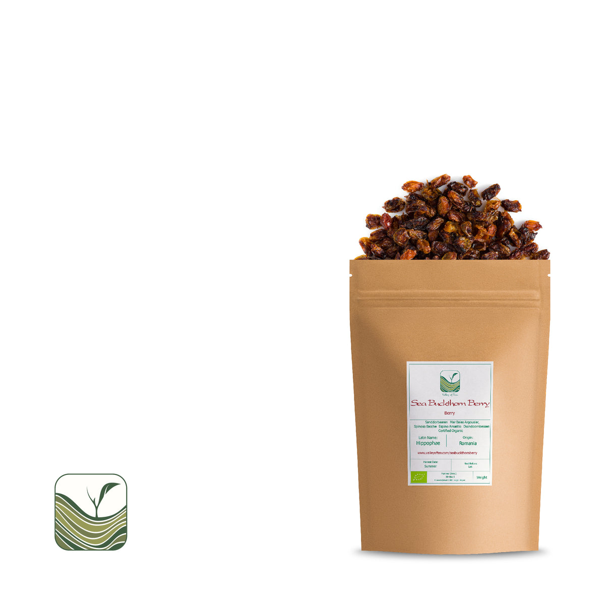 Sea Buckthorn Berry